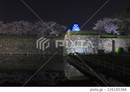 姫路城と夜桜（三の丸広場より）/姫路城十景/世界文化遺産/国宝/日本のさくら名所百選 126185366