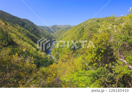 新緑香る保津峡、清滝川を展望（六丁峠より） 126185410