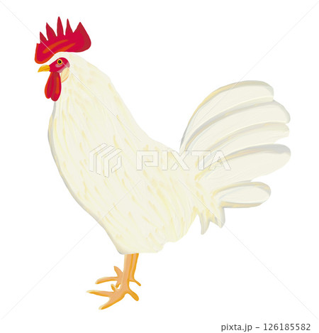 油彩ブラシで描いた白い雄の鶏のイラスト　クリップアート　挿絵　png 126185582