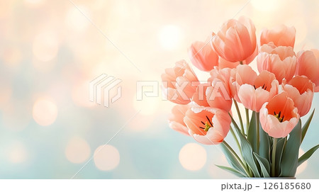 pink tulips in a vase pink tulips in a vase 126185680