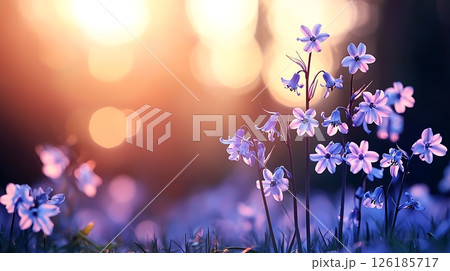 beautiful spring background with wild flowers 126185717
