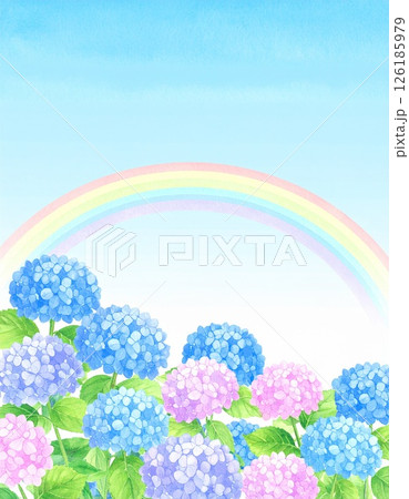 雨上がりの虹と紫陽花の風景画 126185979