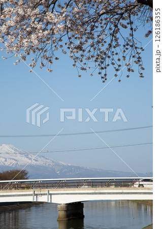 サクラ咲く‗240413‗249 126186355