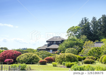 水戸市偕楽園の霧島ツツジの花と好文亭 水戸市偕楽園の霧島ツツジの花と好文亭 126186678