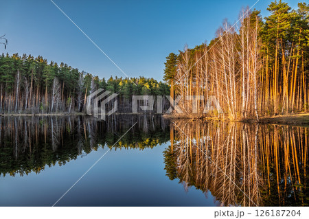 Calm lake with green trees on the shore and a beautiful reflection. Summer landscape. Calm lake with green trees on the shore and a beautiful reflection. Summer landscape. 126187204