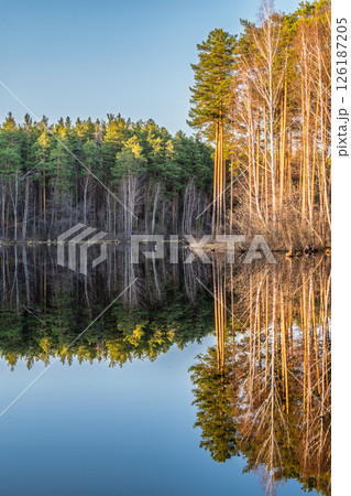 Calm lake with green trees on the shore and a beautiful reflection. Summer landscape. Calm lake with green trees on the shore and a beautiful reflection. Summer landscape. 126187205