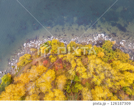Colorful autumn forest with trees on the shore of a blue lake - top aerial view. Colorful autumn forest with trees on the shore of a blue lake - top aerial view. 126187309