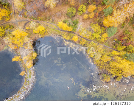 Colorful autumn forest with trees on the shore of a blue lake - top aerial view. 126187310