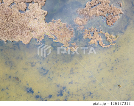 Aerial view of lake or river green shore with forest. Summer season. Aerial view of lake or river green shore with forest. Summer season. 126187312