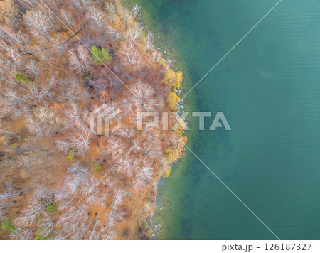 Colorful autumn forest with trees on the shore of a blue lake - top aerial view. 126187327