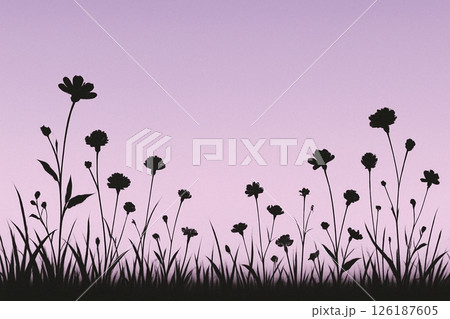 白い花の背景 白い花の背景 126187605