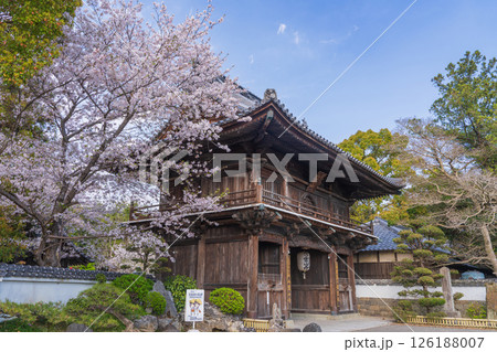 【第1番札所】桜咲く霊山寺 仁王門【四国八十八箇所】 【第1番札所】桜咲く霊山寺 仁王門【四国八十八箇所】 126188007