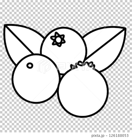 ブルーベリーのイラスト 126188053