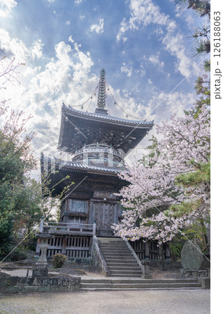 【第1番札所】桜咲く霊山寺 多宝塔【四国八十八箇所】 【第1番札所】桜咲く霊山寺 多宝塔【四国八十八箇所】 126188063