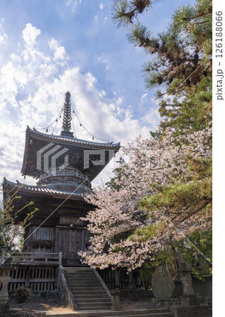 【第1番札所】桜咲く霊山寺　多宝塔【四国八十八箇所】 126188066
