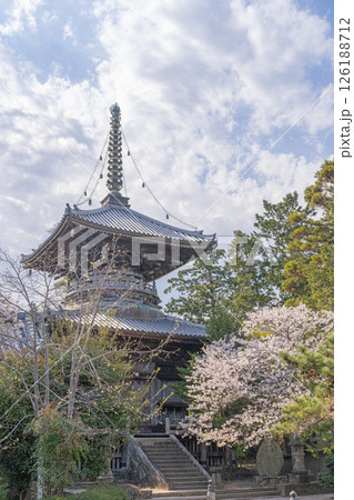 【第1番札所】桜咲く霊山寺 多宝塔【四国八十八箇所】 【第1番札所】桜咲く霊山寺 多宝塔【四国八十八箇所】 126188712