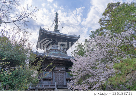 【第1番札所】桜咲く霊山寺 多宝塔【四国八十八箇所】 【第1番札所】桜咲く霊山寺 多宝塔【四国八十八箇所】 126188715
