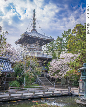 【第1番札所】桜咲く霊山寺 多宝塔【四国八十八箇所】 【第1番札所】桜咲く霊山寺 多宝塔【四国八十八箇所】 126188723