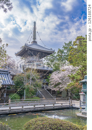 【第1番札所】桜咲く霊山寺 多宝塔【四国八十八箇所】 【第1番札所】桜咲く霊山寺 多宝塔【四国八十八箇所】 126188724