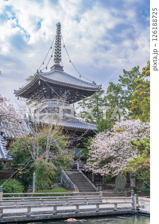 【第1番札所】桜咲く霊山寺 多宝塔【四国八十八箇所】 【第1番札所】桜咲く霊山寺 多宝塔【四国八十八箇所】 126188725