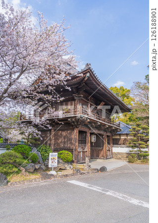 【第1番札所】桜咲く霊山寺　仁王門【四国八十八箇所】 126188901