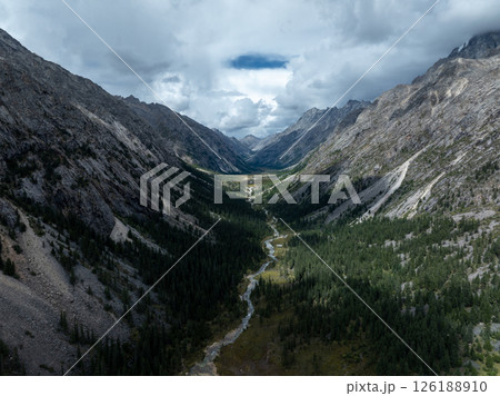 Aerial view of beautiful high altitude forest canyon and snow capped mountain landscape 126188910