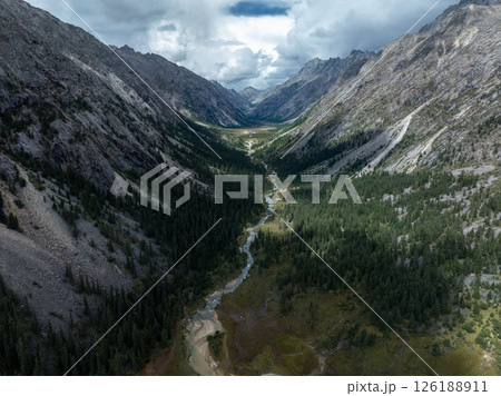 Aerial view of beautiful high altitude forest canyon and snow capped mountain landscape 126188911