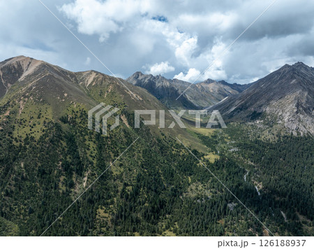 High altitude grassland and forest mountain in Sichuan, China High altitude grassland and forest mountain in Sichuan, China 126188937