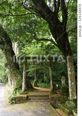【紀宝町 岩窟が御神体「神内神社(子安の宮)」参道と鳥居】 【紀宝町 岩窟が御神体「神内神社(子安の宮)」参道と鳥居】 126188978
