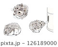 水彩風で描いたジャンガリアンハムスターの水飲みなどのポーズセット 126189000