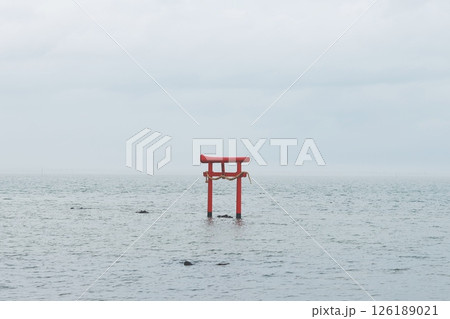 海に浮かぶ鳥居 海に浮かぶ鳥居 126189021