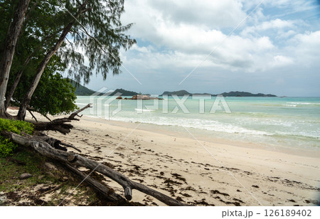 Tropical beach on Seychelles during offseason with cloudy sky, calm waves, driftwood 126189402