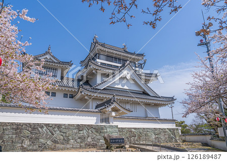 春の妙見山公園　桜に彩られたトリーデなると 126189487