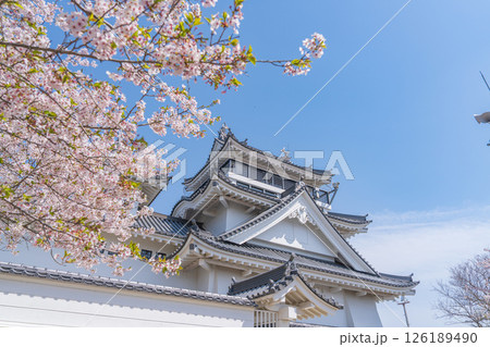 春の妙見山公園　桜に彩られたトリーデなると 126189490