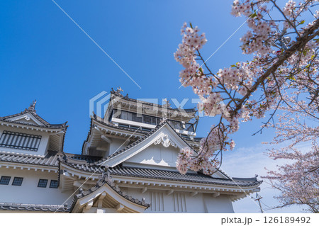 春の妙見山公園　桜に彩られたトリーデなると 126189492