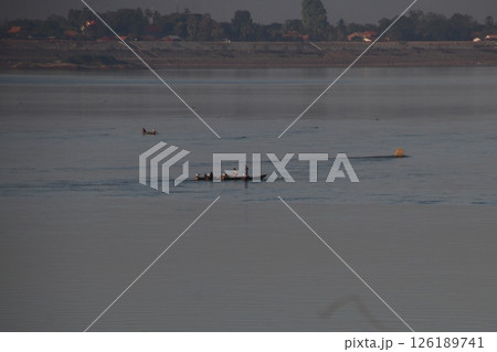 メコン川の漁 126189741