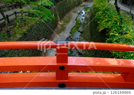 新緑の御土居と鶯橋 126189869