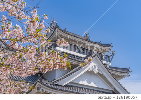 春の妙見山公園　桜に彩られたトリーデなると 126190057