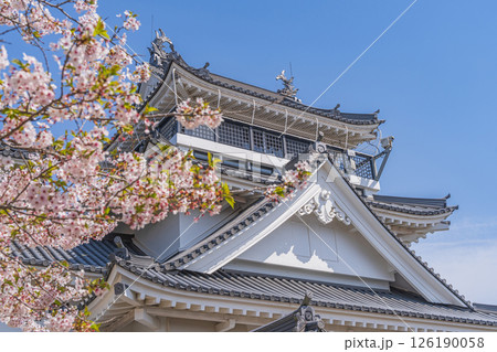 春の妙見山公園　桜に彩られたトリーデなると 126190058