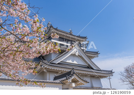 春の妙見山公園　桜に彩られたトリーデなると 126190059