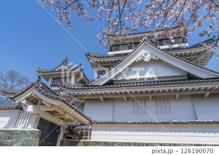 春の妙見山公園 桜に彩られたトリーデなると 春の妙見山公園 桜に彩られたトリーデなると 126190070