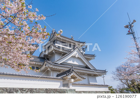 春の妙見山公園　桜に彩られたトリーデなると 126190077