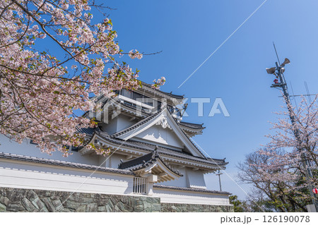 春の妙見山公園　桜に彩られたトリーデなると 126190078