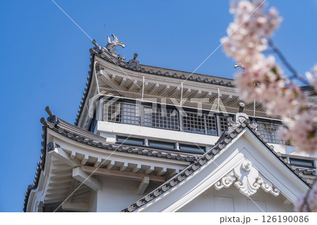 春の妙見山公園　桜に彩られたトリーデなると 126190086
