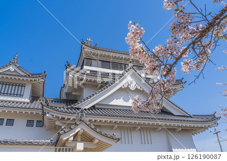 春の妙見山公園　桜に彩られたトリーデなると 126190087