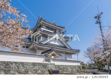 春の妙見山公園　桜に彩られたトリーデなると 126190093