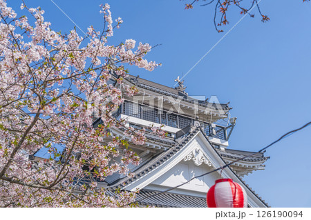 春の妙見山公園　桜に彩られたトリーデなると 126190094