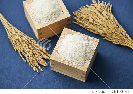 稲穂と枡に盛られたお米 稲穂と枡に盛られたお米 126190161