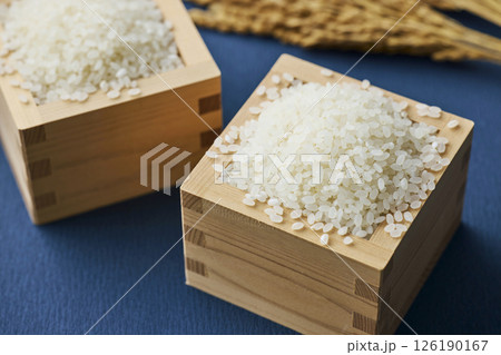 稲穂と枡に盛られたお米 稲穂と枡に盛られたお米 126190167