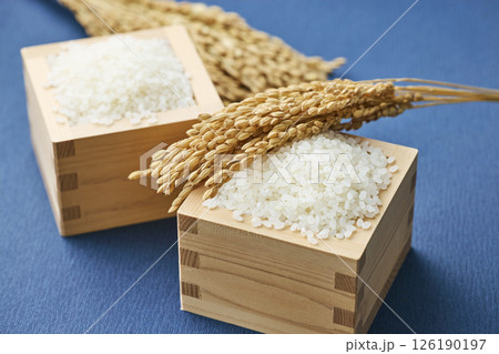 稲穂と枡に盛られたお米 稲穂と枡に盛られたお米 126190197